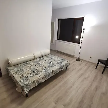 Big House In North With Ping-pong Table