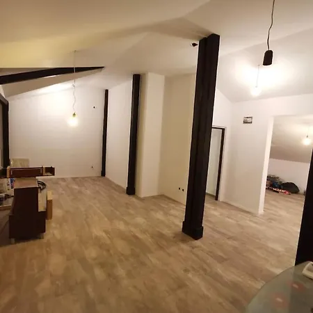 Big House In North With Ping-pong Table 别墅 布加勒斯特