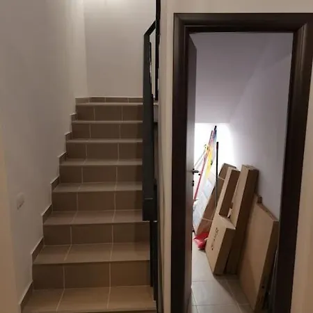 Big House In North With Ping-pong Table 别墅 布加勒斯特
